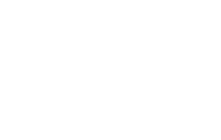 Maybelline New York